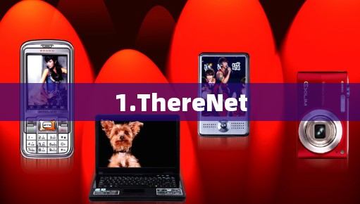 1.ThereNet
