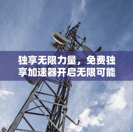 独享无限力量，免费独享加速器开启无限可能