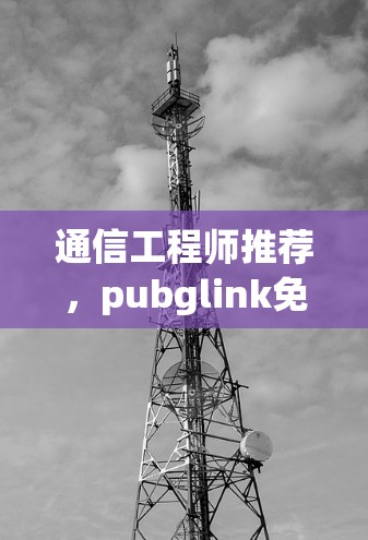 通信工程师推荐，pubglink免费加速器，让你的数据流量无处可寻