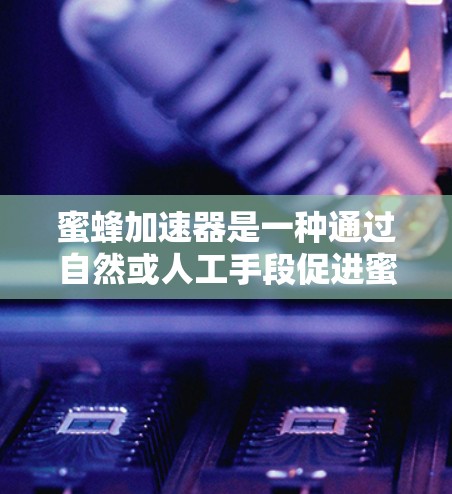 蜜蜂加速器是一种通过自然或人工手段促进蜜蜂活动的工具，旨在提高蜜蜂的效率和收集蜂蜜的速度。以下是对蜜蜂加速器的详细分析