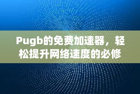 Pugb的免费加速器，轻松提升网络速度的必修课