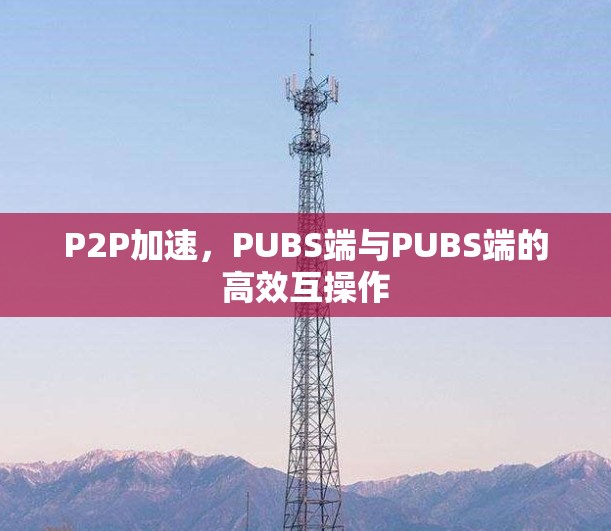 P2P加速，PUBS端与PUBS端的高效互操作