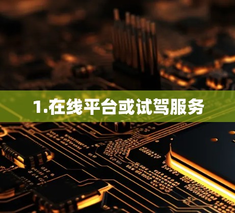 1.在线平台或试驾服务