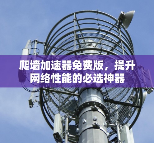 爬墙加速器免费版，提升网络性能的必选神器