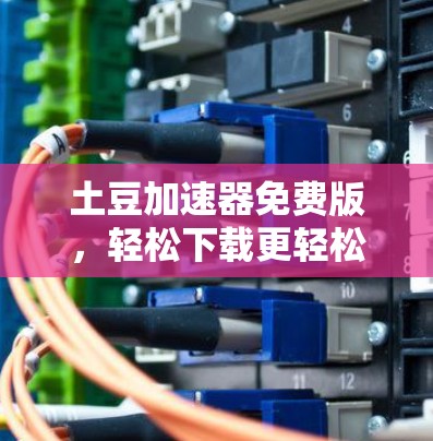 土豆加速器免费版，轻松下载更轻松