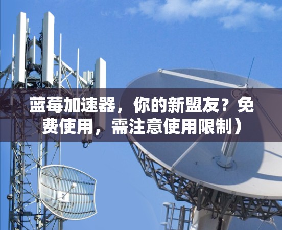 蓝莓加速器，你的新盟友？免费使用，需注意使用限制）