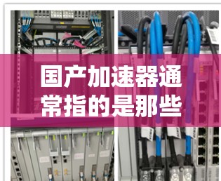 国产加速器通常指的是那些由中国厂商开发或支持的加速工具，这些工具可以帮助用户提高网络速度和数据传输效率。以下是一些常用的国产加速器及其特点
