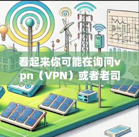 看起来你可能在询问vpn（VPN）或者老司机（dude 或 另一种解释）以下是对这两种可能的解释