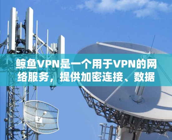 鲸鱼VPN是一个用于VPN的网络服务，提供加密连接、数据加密和流量控制等功能，广泛应用于个人和教育使用。以下是关于鲸鱼VPN的详细介绍