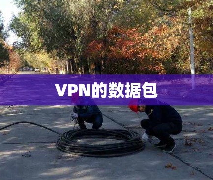 VPN的数据包