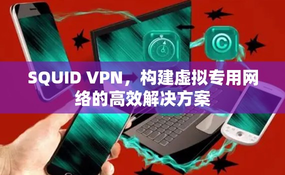 SQUID VPN，构建虚拟专用网络的高效解决方案