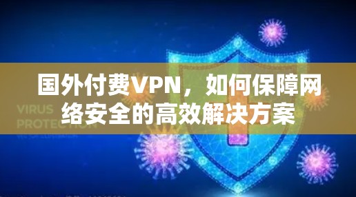 国外付费VPN，如何保障网络安全的高效解决方案