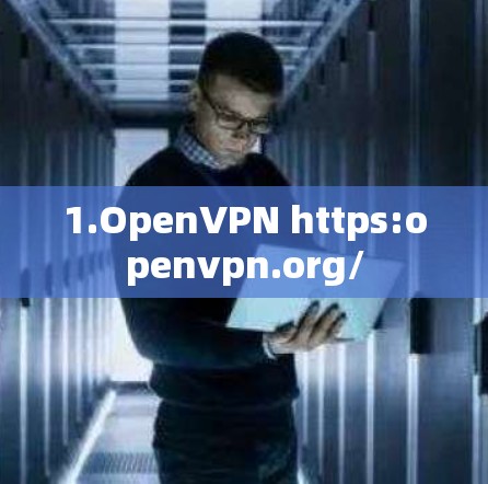 1.OpenVPN https:openvpn.org/