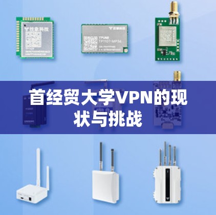 首经贸大学VPN的现状与挑战