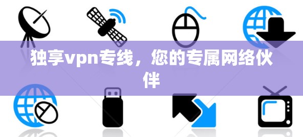 独享vpn专线，您的专属网络伙伴