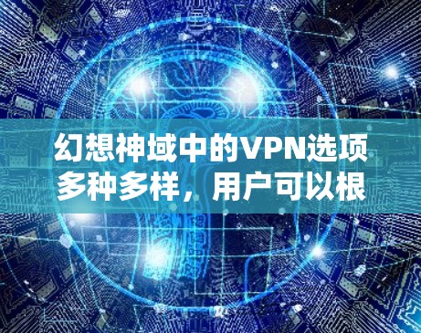 幻想神域中的VPN选项多种多样，用户可以根据自己的需求和情况选择最适合的配置。以下是一些常见的配置类型及其特点