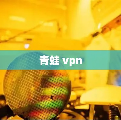 青蛙 vpn