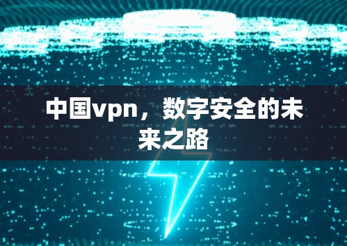 中国vpn，数字安全的未来之路