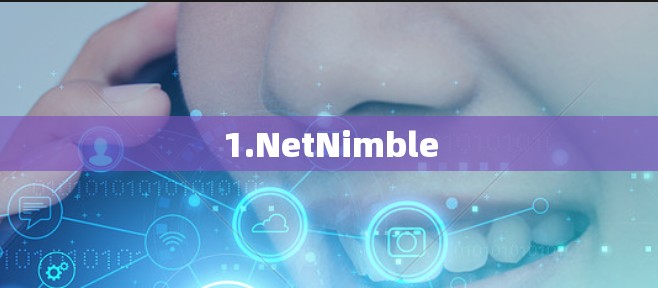 1.NetNimble 1.NetNimble