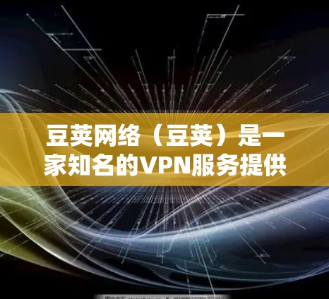 豆荚网络（豆荚）是一家知名的VPN服务提供商，提供端到端加密（EPA）和多因素认证（MFA）等安全措施。豆荚网络的用户界面简洁，操作简单，支持多种设备，包括手机、平板和电脑
