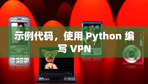 示例代码，使用 Python 编写 VPN