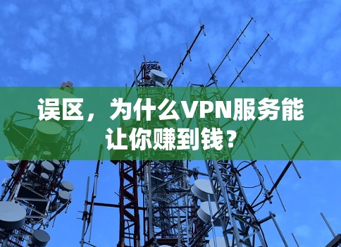 误区，为什么VPN服务能让你赚到钱？