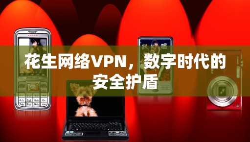 花生网络VPN，数字时代的安全护盾