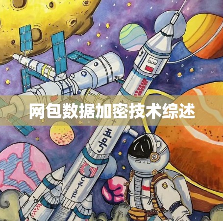 网包数据加密技术综述
