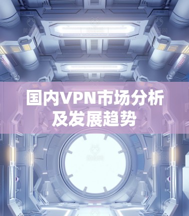 国内VPN市场分析及发展趋势