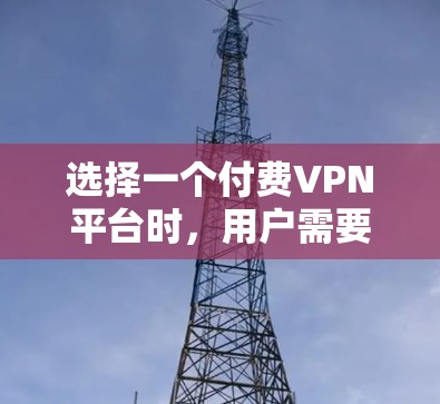 选择一个付费VPN平台时,用户需要综合考虑多个因素,以确保平台的安全性、性能和满足他们的需求。以下是一个详细的分析,帮助您选择一个适合的付费VPN平台 选择一个付费VPN平台时,用户需要综合考虑多个因素,以确保平台的安全性、性能和满足他们的需求。以下是一个详细的分析,帮助您选择一个适合的付费VPN平台