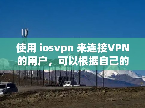使用 iosvpn 来连接VPN的用户，可以根据自己的需求选择适合的公司和功能。以下是一些推荐的公司和功能，供您参考