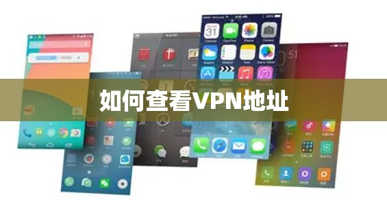 如何查看VPN地址