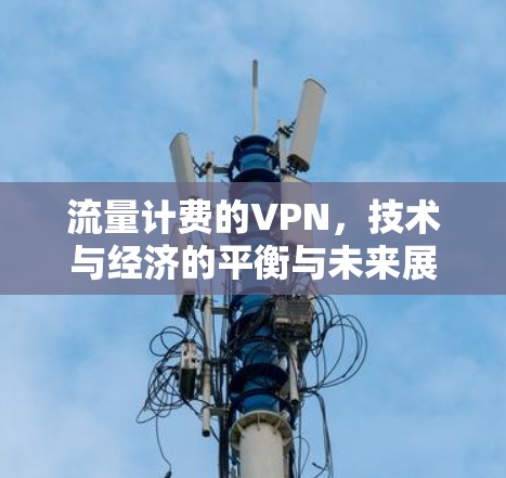 流量计费的VPN，技术与经济的平衡与未来展望
