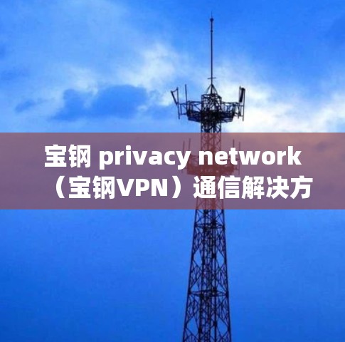宝钢 privacy network（宝钢VPN）通信解决方案的创新与应用