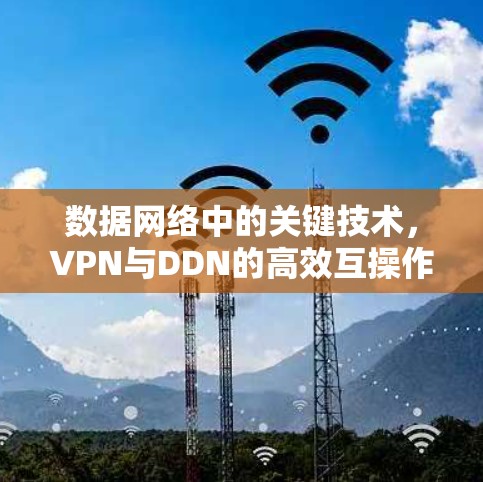 数据网络中的关键技术,VPN与DDN的高效互操作性 数据网络中的关键技术,VPN与DDN的高效互操作性