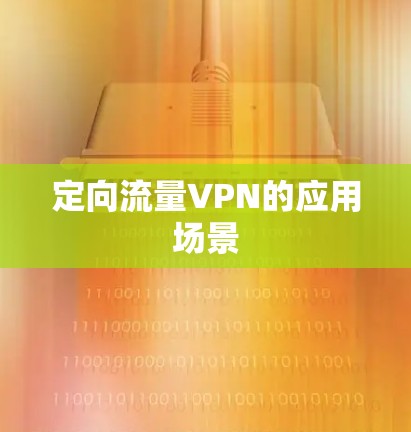 定向流量VPN的应用场景