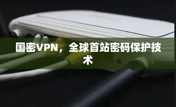 国密VPN,全球首站密码保护技术 国密VPN,全球首站密码保护技术
