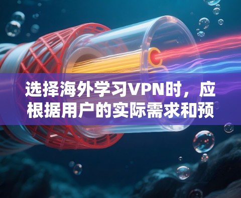 选择海外学习VPN时，应根据用户的实际需求和预算进行权衡。以下是一些推荐的 VPN 服务及其适用场景