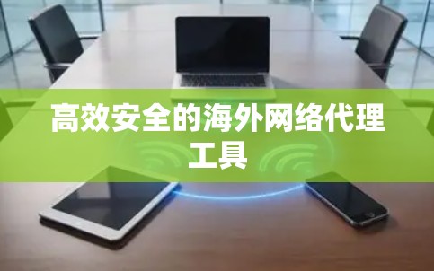 高效安全的海外网络代理工具