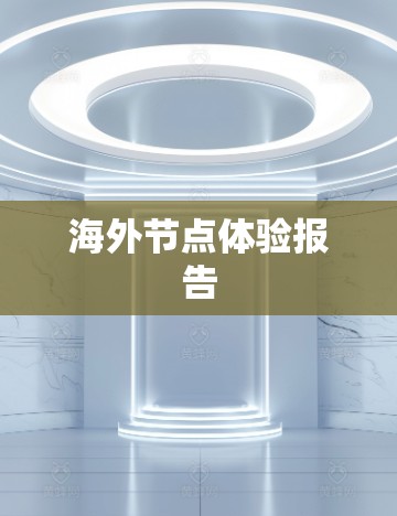 海外节点体验报告