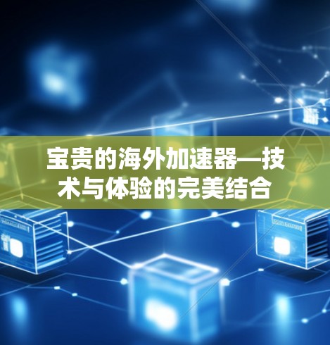 宝贵的海外加速器—技术与体验的完美结合