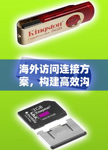 海外访问连接方案，构建高效沟通机制