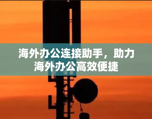 海外办公连接助手,助力海外办公高效便捷 海外办公连接助手,助力海外办公高效便捷