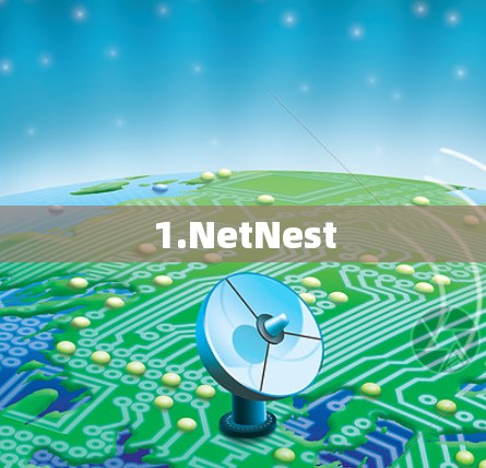 1.NetNest 1.NetNest