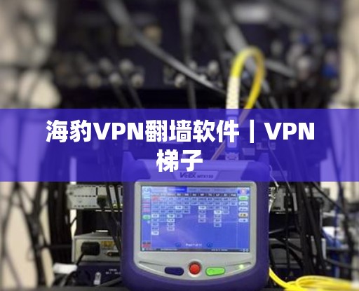 海豹VPN翻墙软件｜VPN梯子