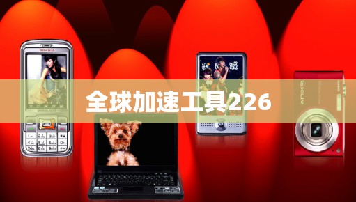 全球加速工具226