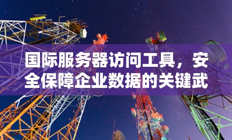 国际服务器访问工具,安全保障企业数据的关键武器 国际服务器访问工具,安全保障企业数据的关键武器