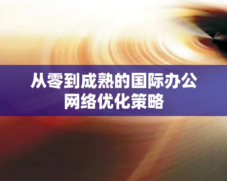 从零到成熟的国际办公网络优化策略