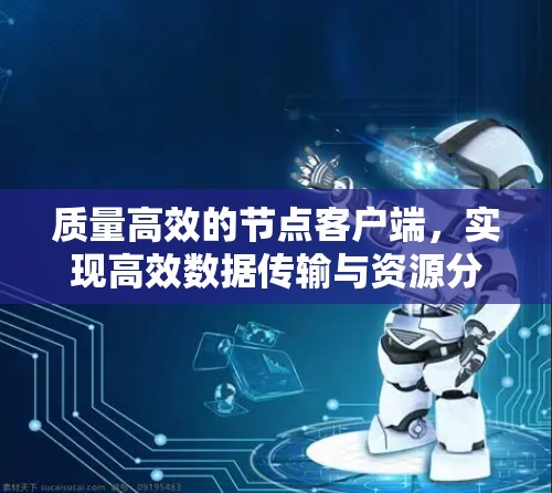 质量高效的节点客户端,实现高效数据传输与资源分配 质量高效的节点客户端,实现高效数据传输与资源分配