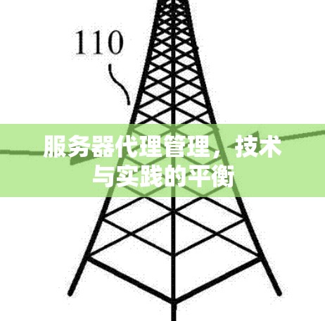 服务器代理管理，技术与实践的平衡